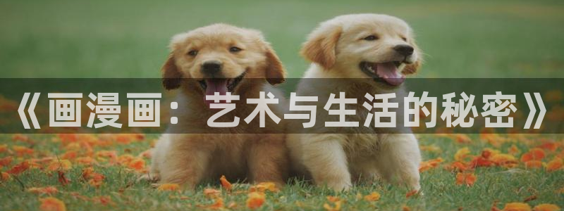 韩漫网在线阅读：《画漫画：艺术与生活的秘密》