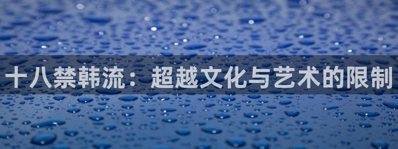 好看的韩国漫画韩漫免费：十八禁韩流：超越文化与艺术的限制