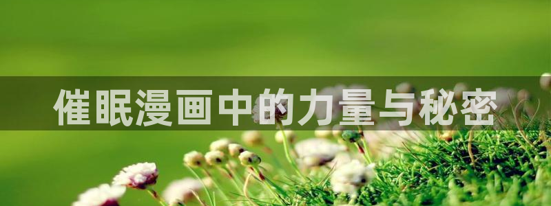 漫画韩漫bl：催眠漫画中的力量与秘密