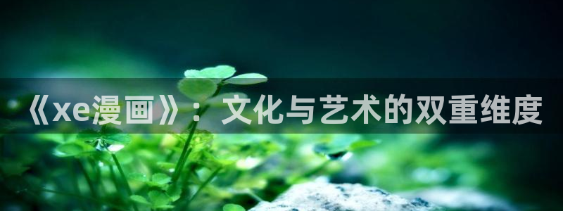 冲突免费漫画韩漫：《xe漫画》：文化与艺术的双重维度