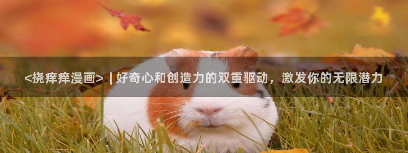 可以看韩漫画的软件：<挠痒痒漫画>  | 好奇心和创造力的双重驱动，激发你的无限潜力