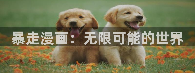 美丽新世界韩漫画看：暴走漫画：无限可能的世界