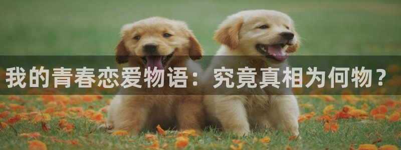 来我床上的男人们漫画韩漫免费观看：我的青春恋爱物语：究竟真相为何物？