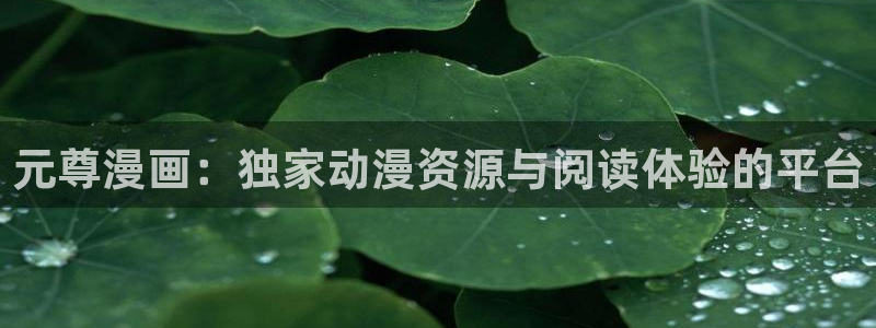 歪歪韩漫无羞遮漫画免费网页入口：元尊漫画：独家动漫资源与阅读体验的平台