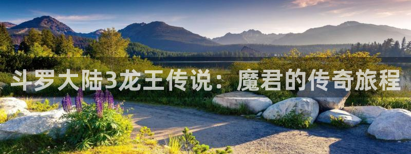 韩漫画在线观看：斗罗大陆3龙王传说：魔君的传奇旅程